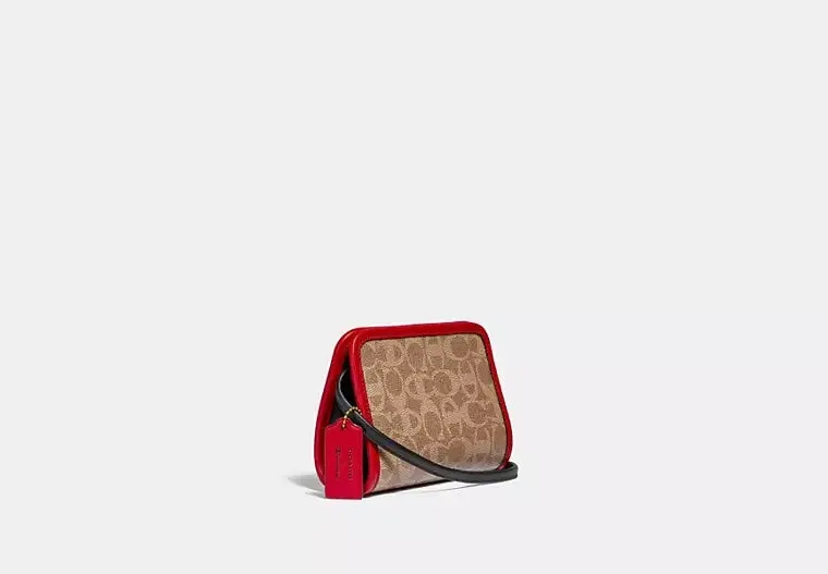 COACH X CHAMPION MONOGRAM RECTANGLE CROSSBODY POUCH