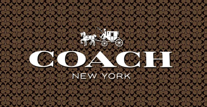 COACH X CHAMPION MONOGRAM RECTANGLE CROSSBODY POUCH