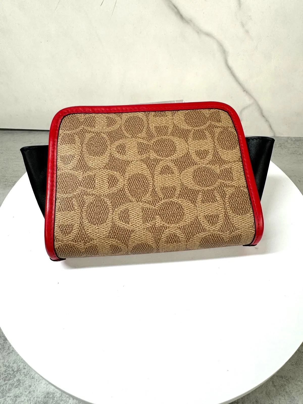 COACH X CHAMPION MONOGRAM RECTANGLE CROSSBODY POUCH