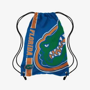 Florida Gators Big Logo Drawstring Backpack