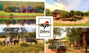 Gauteng: 2-Night Stay for 2 Adults and 1 Child including Breakfast & Dinner at Zebra Nature Reserve