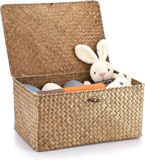 Hipiwe Wicker Shelf Baskets Bin with Lid, Handwoven Seagrass Basket Storage Bins Rectangular Household Basket Boxes for Shelf Wardrobe Home Organizer, Coffee X-Large