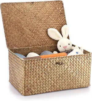 Hipiwe Wicker Shelf Baskets Bin with Lid, Handwoven Seagrass Basket Storage Bins Rectangular Household Basket Boxes for Shelf Wardrobe Home Organizer, Coffee X-Large
