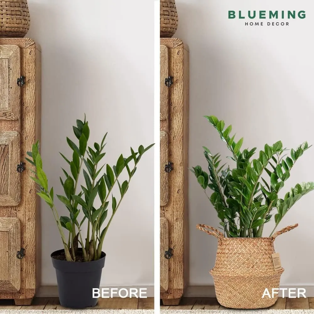 Tree Basket – Wicker Seagrass Planter for Tall Indoor Fake Olive House Plants, Decorative Rattan Baskets for 7-8 Inch Small Plant Pots (Original, Medium)