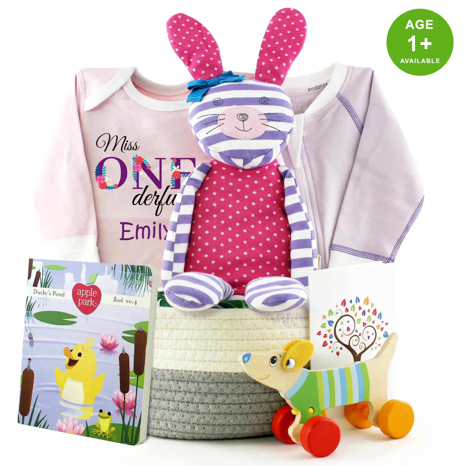 Zeronto Baby Girl First Birthday Gift Basket - Miss One-derful Girl & Friends